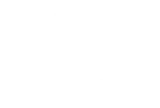 Sonus faber